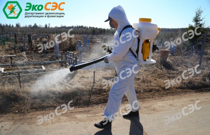 уничтожение клещей